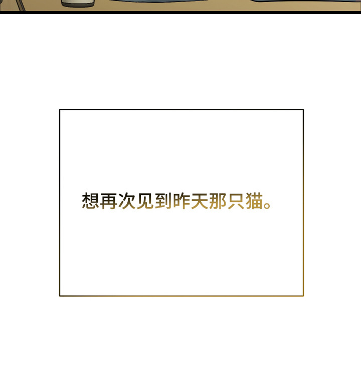 野猫的命定人类漫画,第11章：打招呼1图