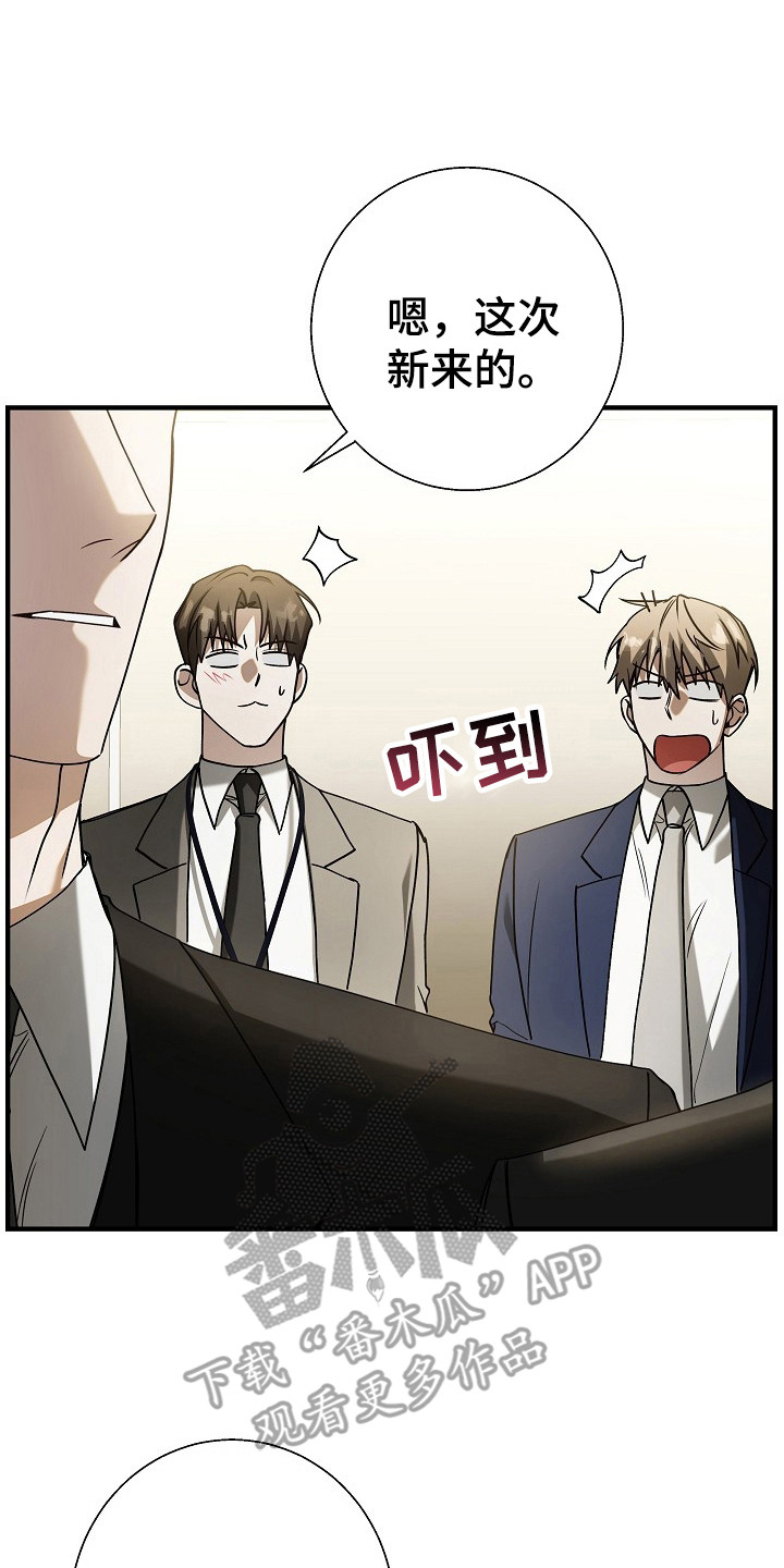 标记我的首席漫画,第6章：绯闻4图