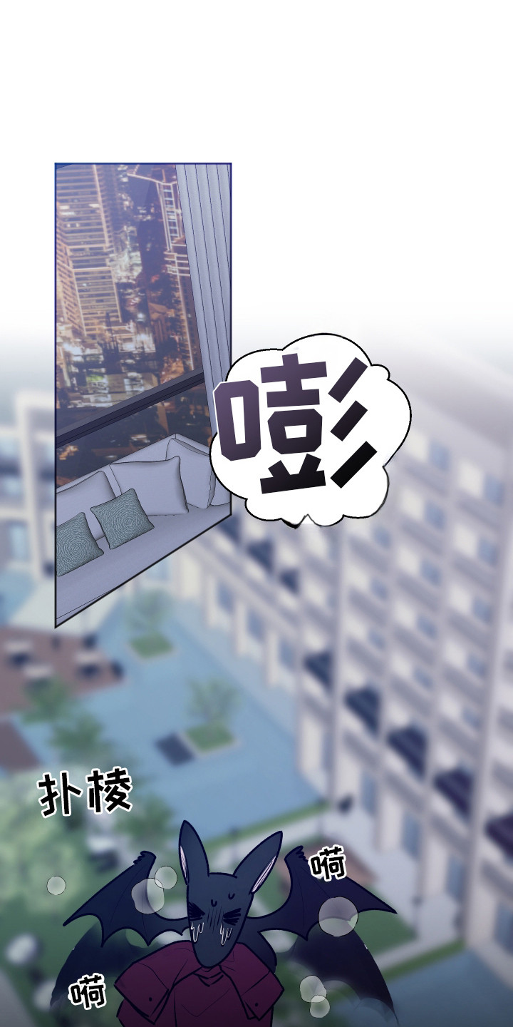 恋爱蝙蝠不想飞的作者是谁漫画,第3章：撒酒疯3图