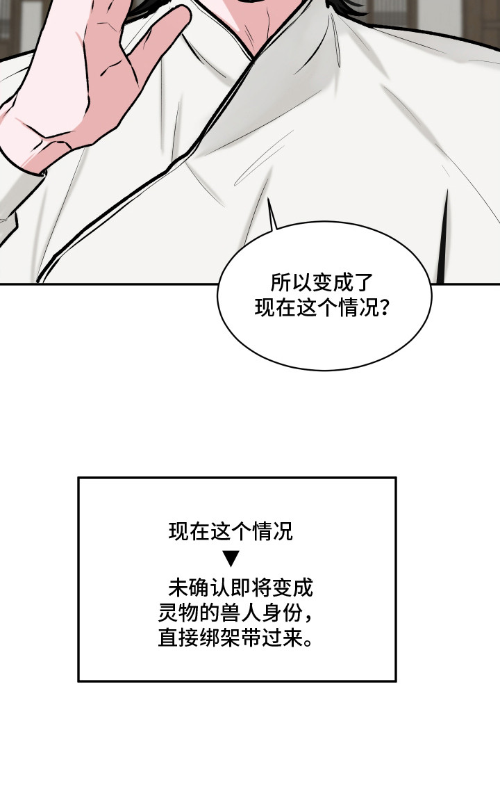 恋爱蝙蝠不想飞漫画,第16章：大灵物3图