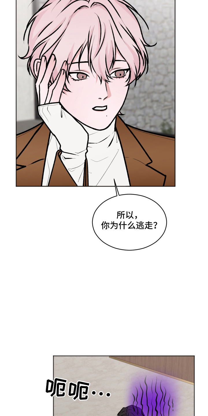 恋爱蝙蝠不想飞的作者是谁漫画,第7章：换个地方4图