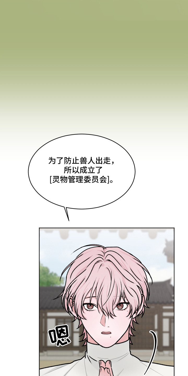 恋爱蝙蝠不想飞漫画,第16章：大灵物1图