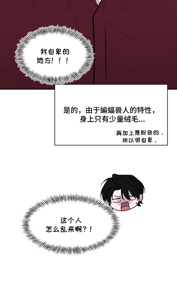 恋爱蝙蝠不想飞的作者是谁漫画,第2章：无赖客人1图