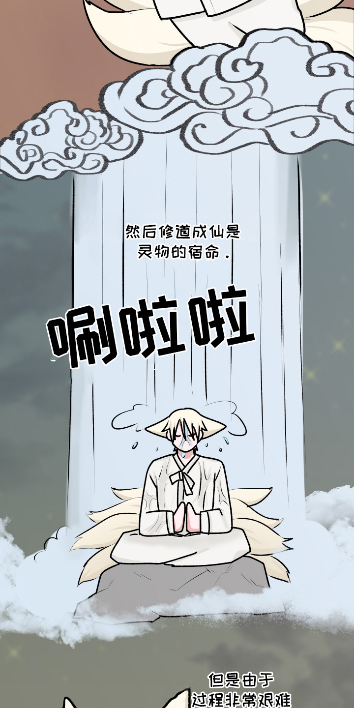 恋爱蝙蝠不想飞漫画,第16章：大灵物4图
