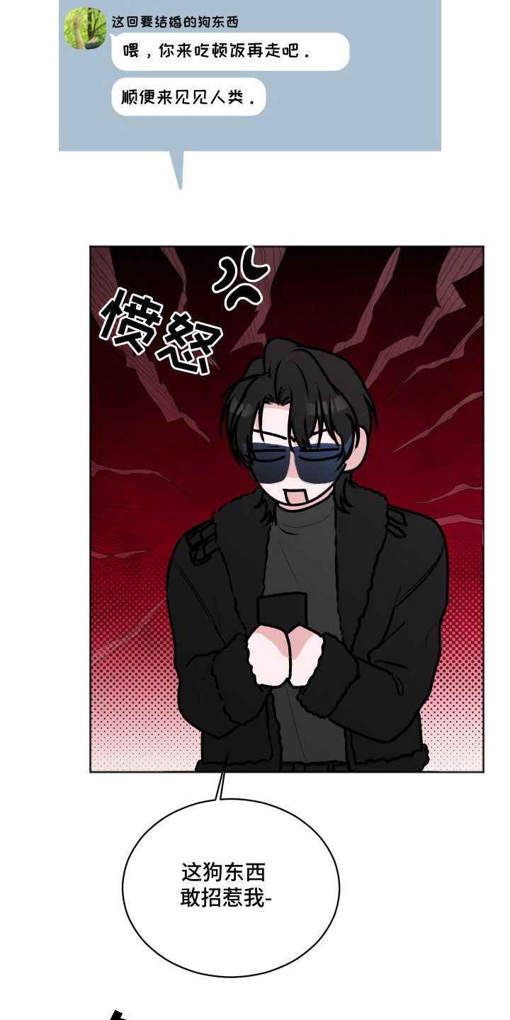 《[网配漫画,第5章：伴侣中介4图