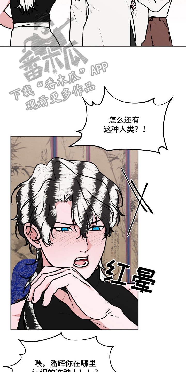 恋爱蝙蝠不想飞漫画,第17章：撒泼打滚5图