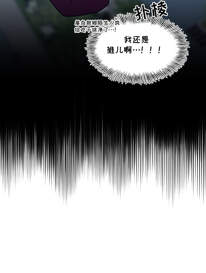 恋爱蝙蝠不想飞的作者是谁漫画,第3章：撒酒疯4图