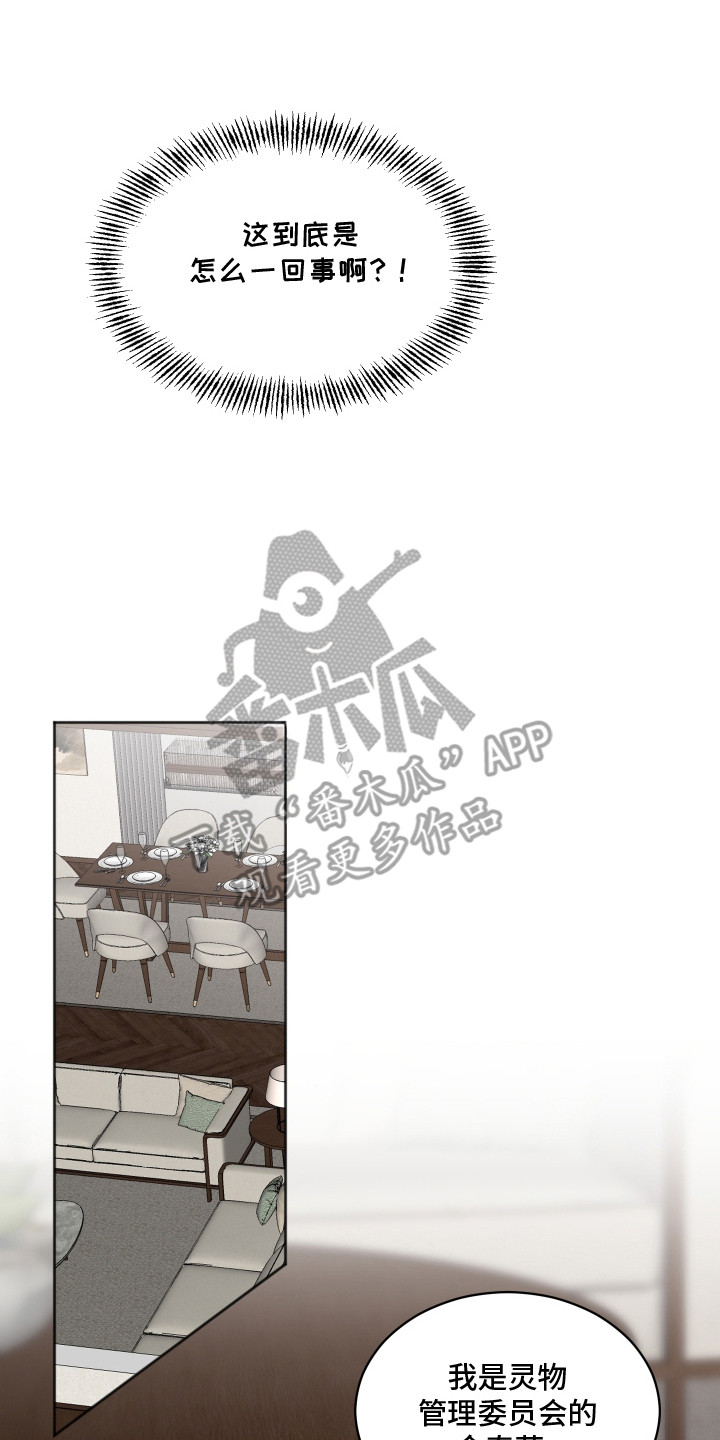 恋爱蝙蝠不想飞漫画,第15章：举报4图