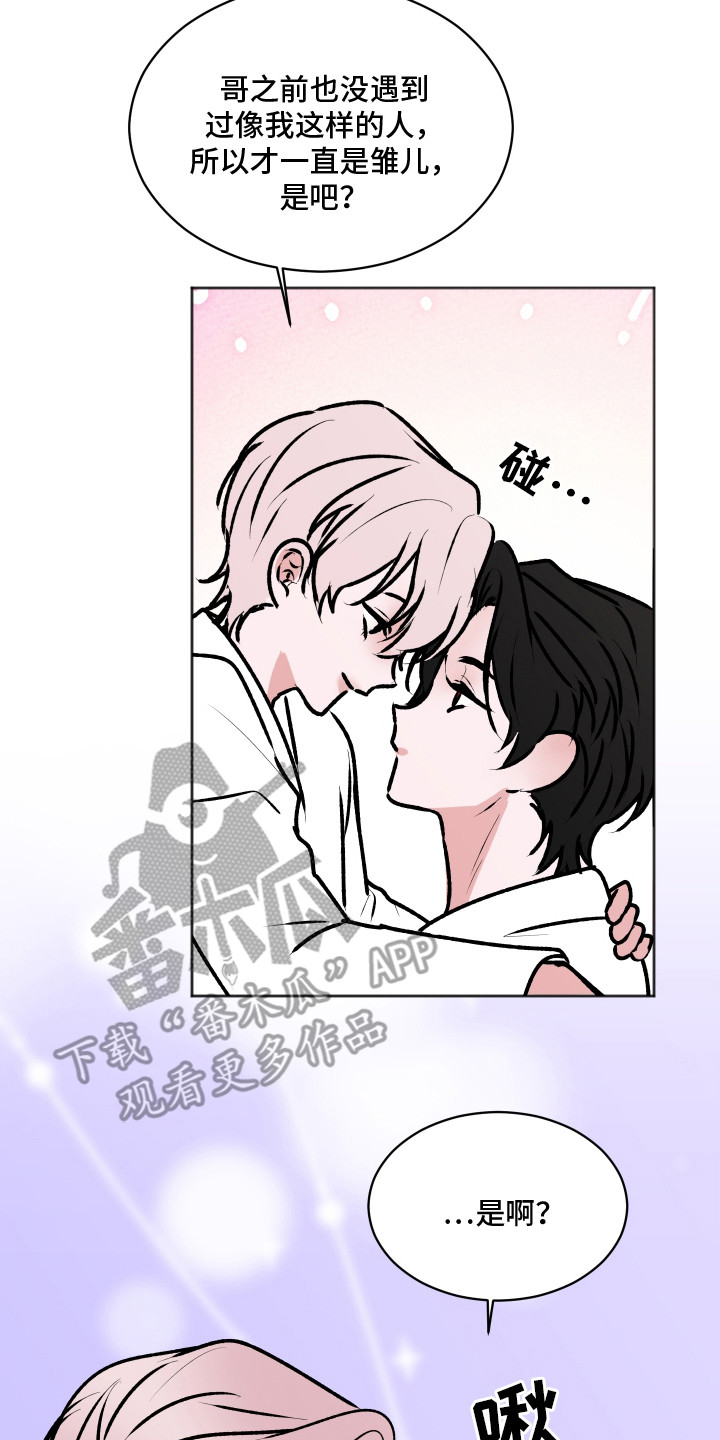 恋爱蝙蝠不想飞的作者是谁漫画,第14章：千岁生日4图