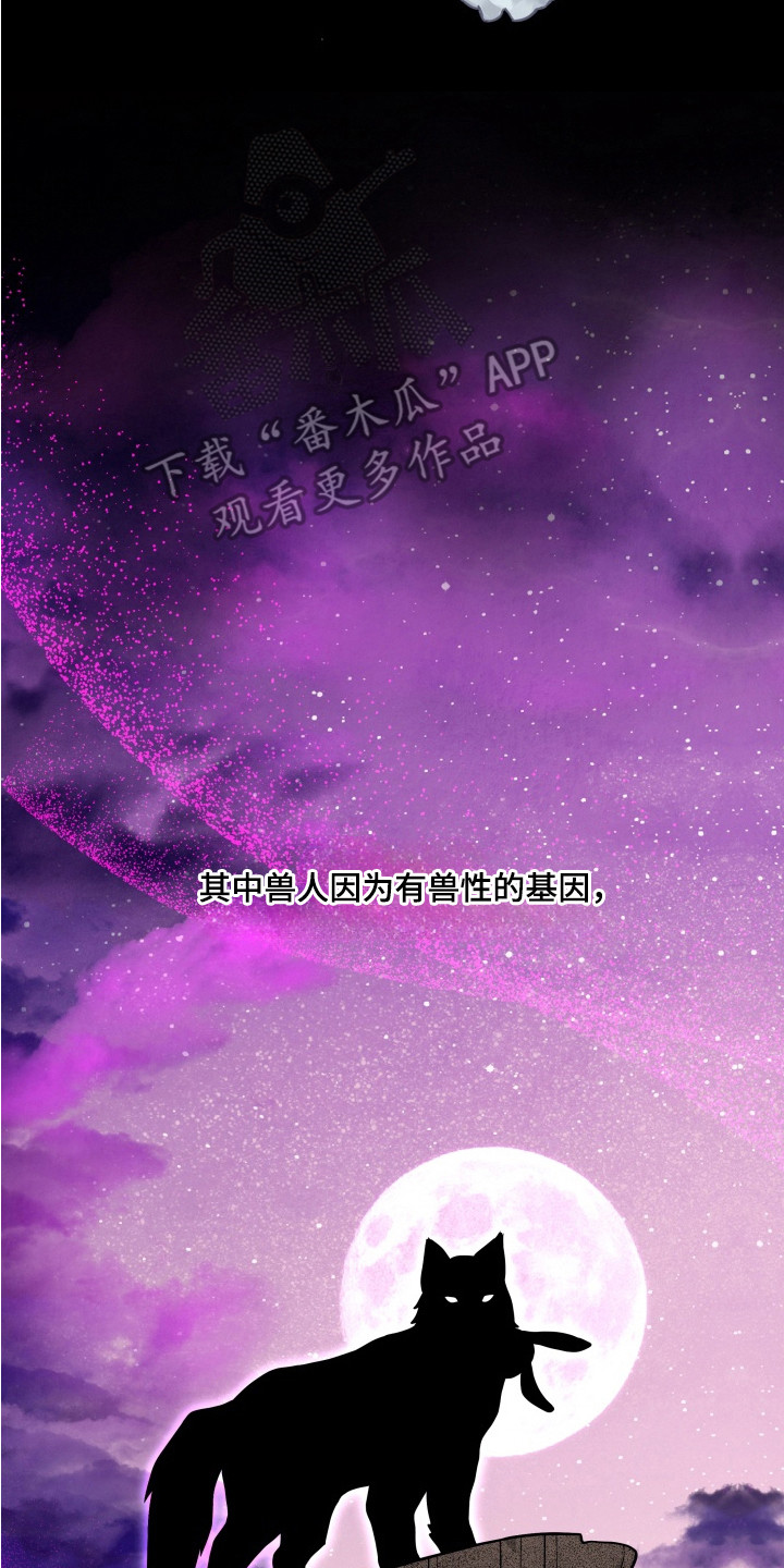 羊入狐口后续漫画,第4章：界线4图