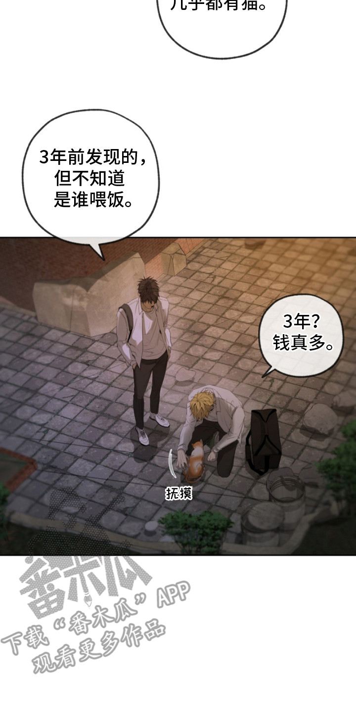 在硝烟中毕业漫画,第20章：闲逛4图