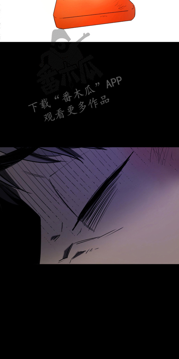 第11章：心理阴影2