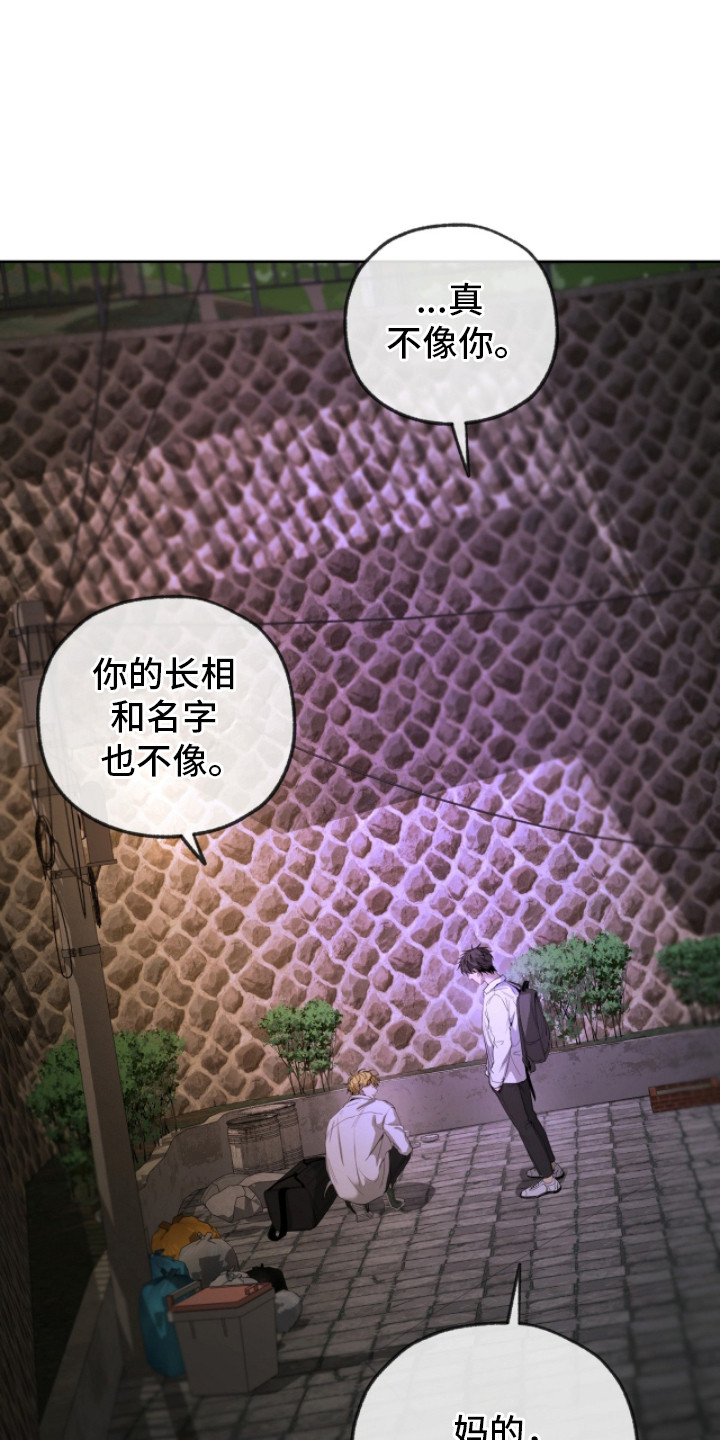 在硝烟中毕业漫画,第20章：闲逛1图