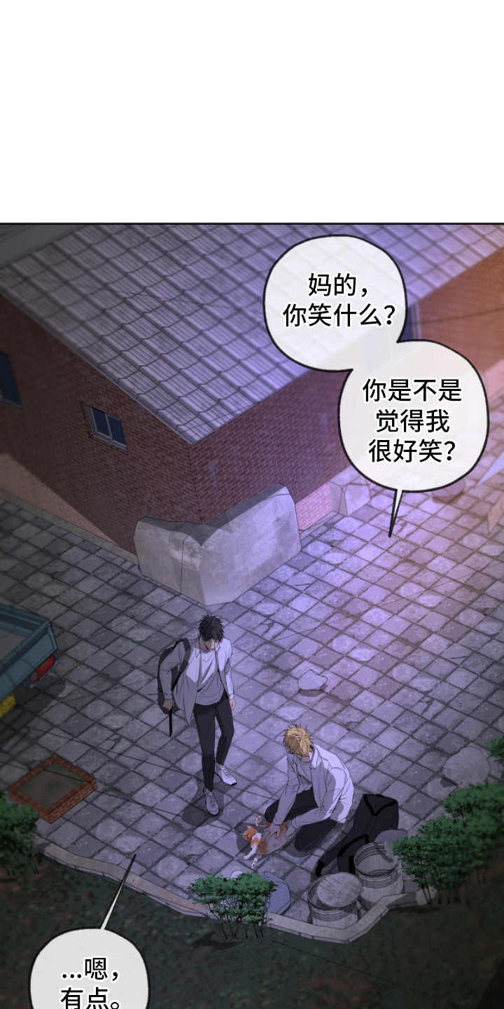 在硝烟中毕业漫画,第20章：闲逛4图