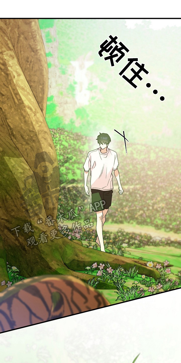 命中犯虎漫画,第22章：老虎2图