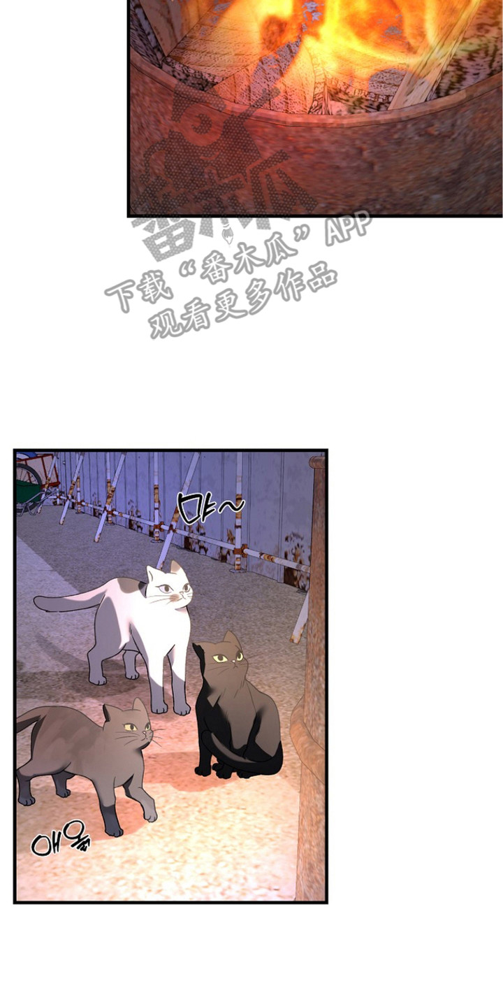 命中犯虎漫画,第16章：恶心的味道4图