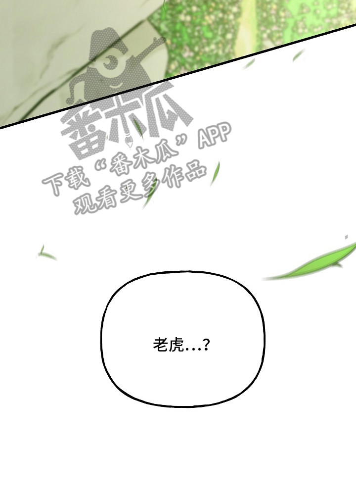 命中犯虎漫画,第22章：老虎5图
