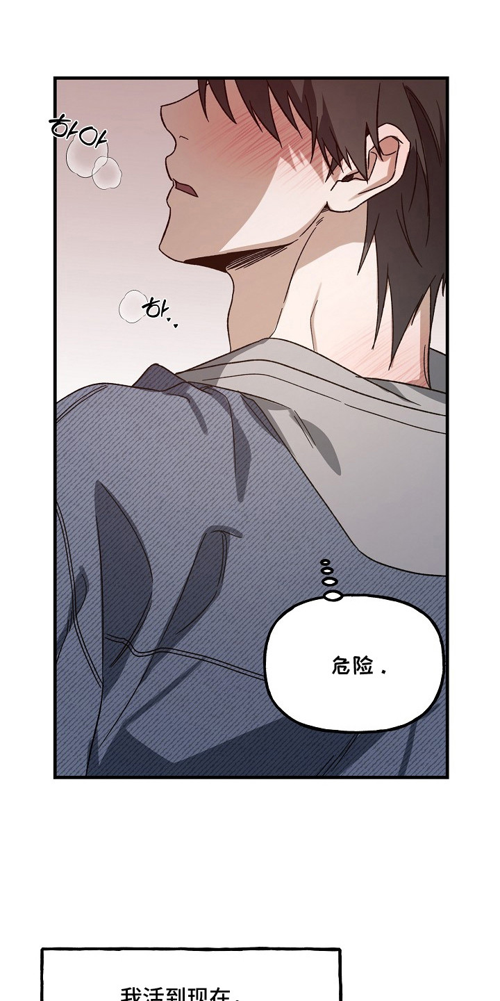 命中犯虎漫画,第12章：危险的感觉1图