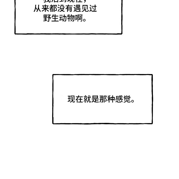 命中犯虎漫画,第12章：危险的感觉2图