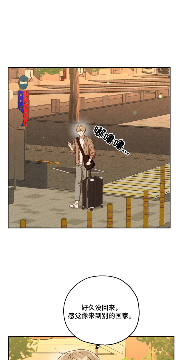 第3章：叛逆少年2