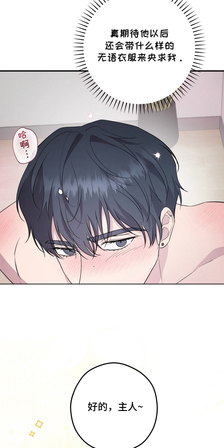 我的女仆是魔女漫画,第16章：好的主人（完结）3图