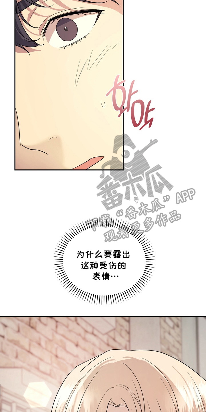 我的女仆是男的漫画,第11章：受伤的表情4图