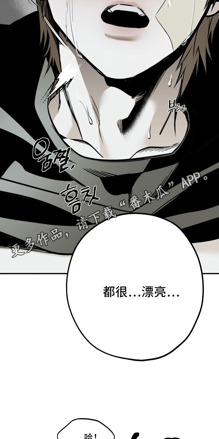 浮光掠影漫画,第16章：树立信心2图