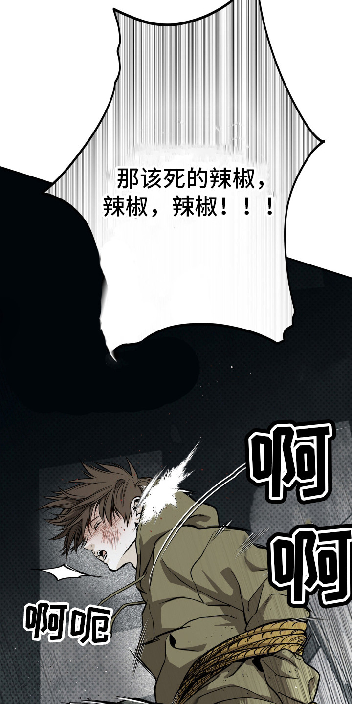 浮光掠影漫画,第13章：绑架2图