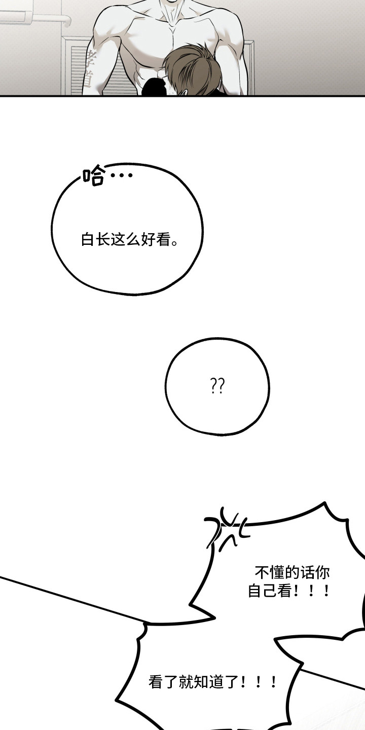 浮光掠影漫画,第15章：仔细看看3图