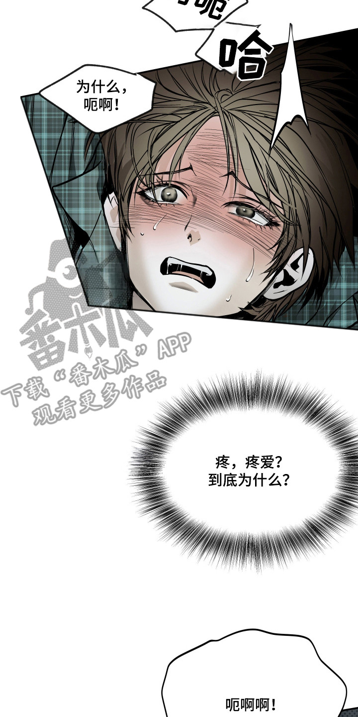 浮光掠影漫画,第6章：不能错过5图