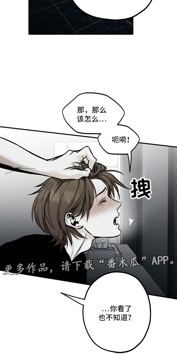 浮光掠影漫画,第15章：仔细看看4图