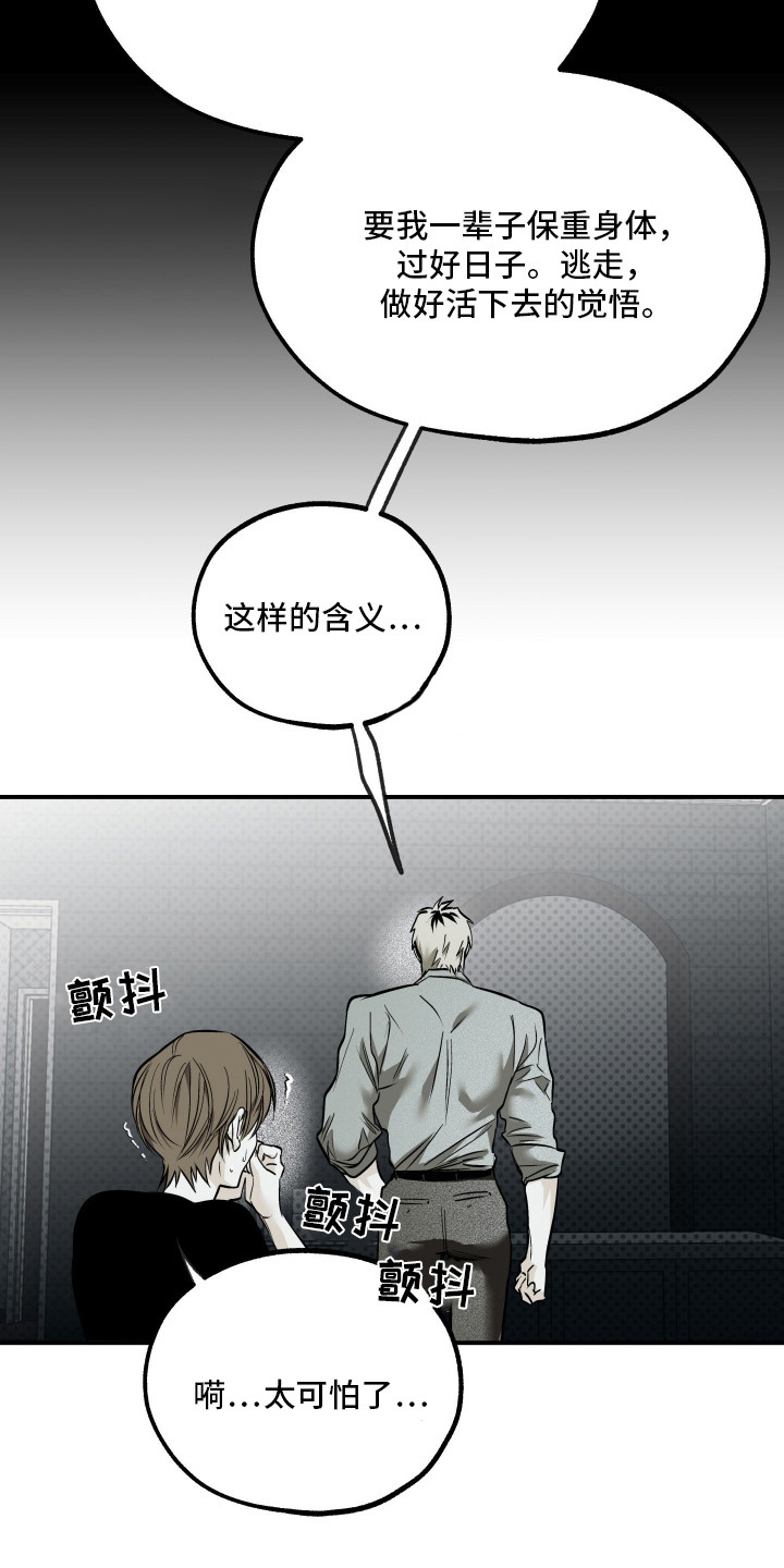 浮光掠影漫画,第14章：金盆洗手1图