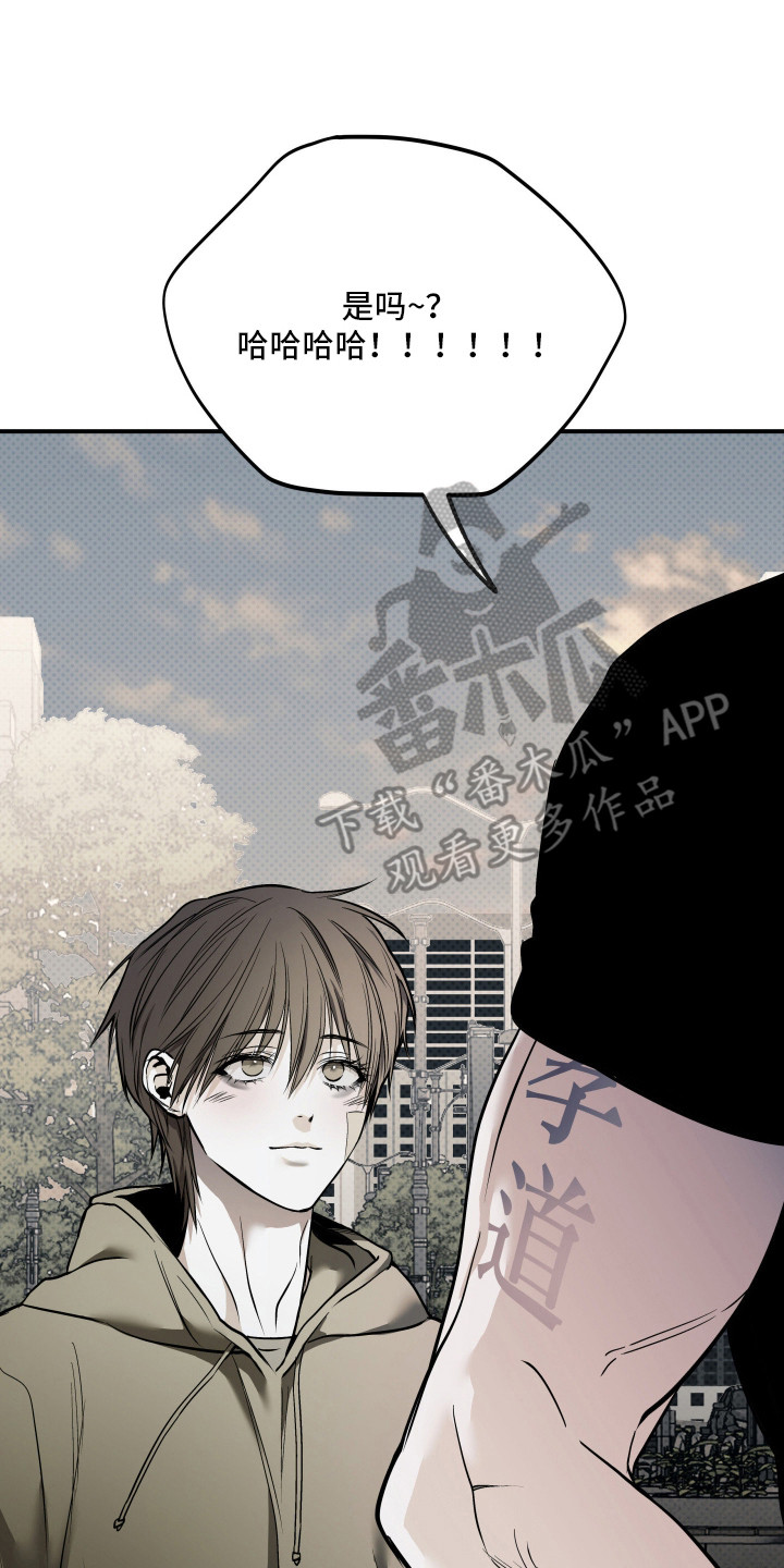 浮光掠影漫画,第17章：依旧美丽（完结）3图