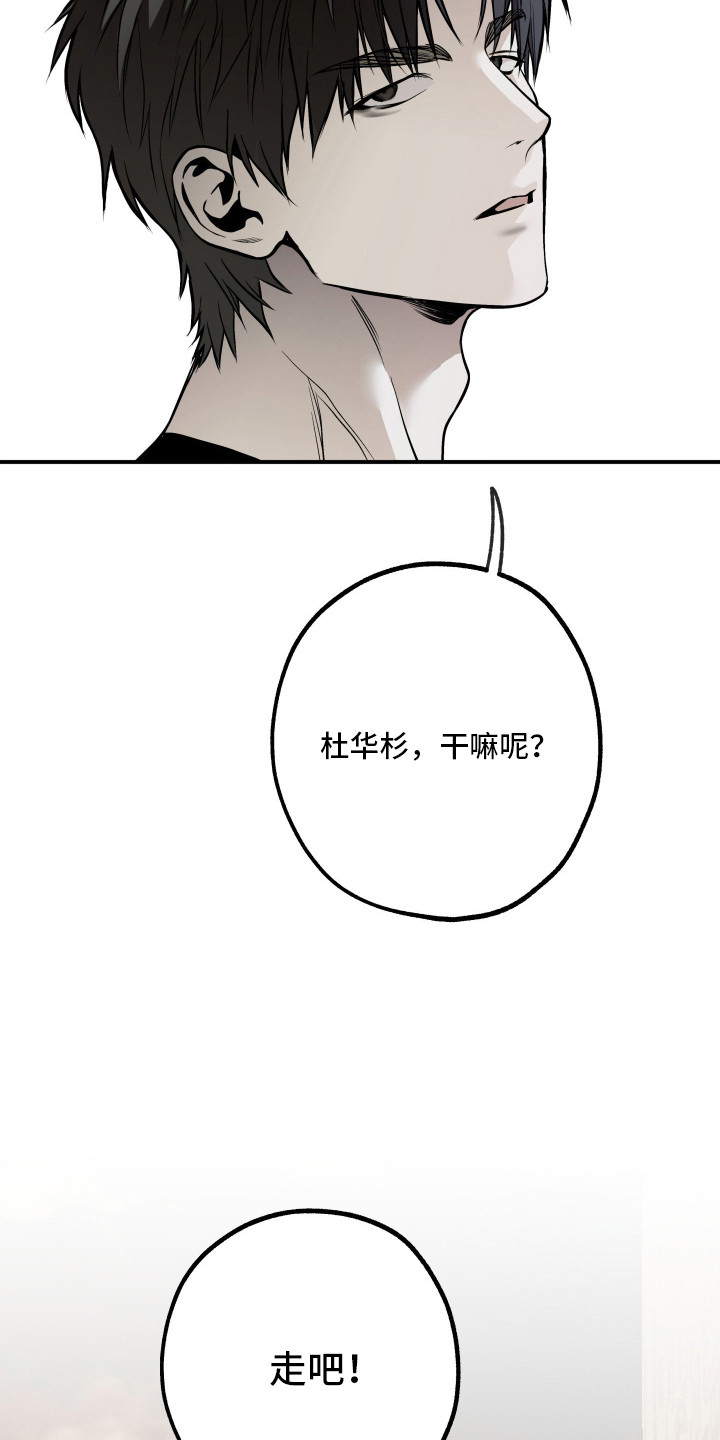 浮光掠影漫画,第17章：依旧美丽（完结）3图