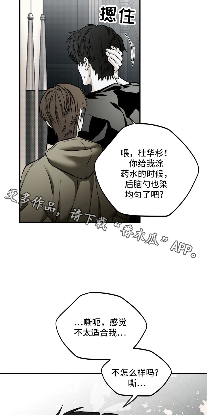 浮光掠影漫画,第17章：依旧美丽（完结）4图