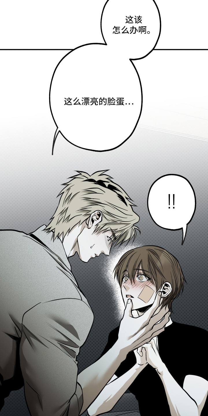 浮光掠影漫画,第14章：金盆洗手1图