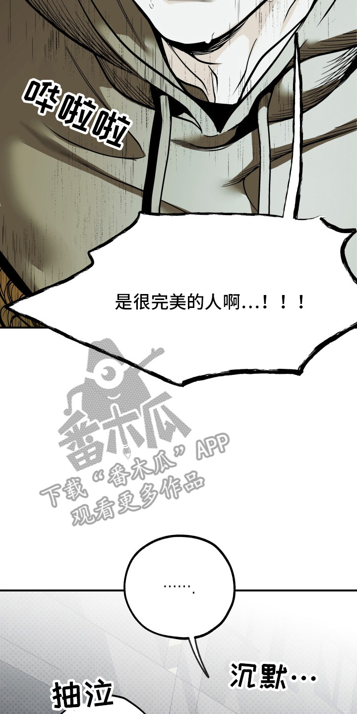 浮光掠影漫画,第13章：绑架5图