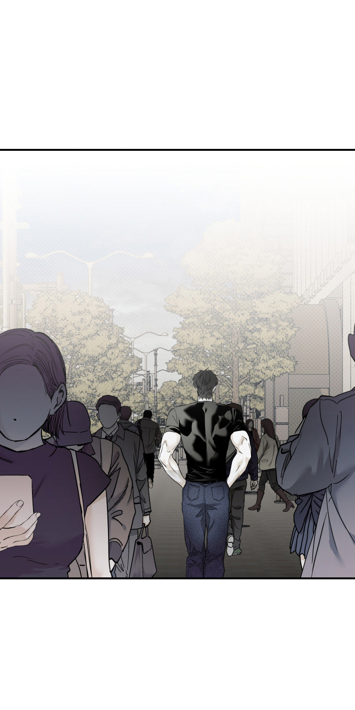 浮光掠影漫画,第17章：依旧美丽（完结）5图