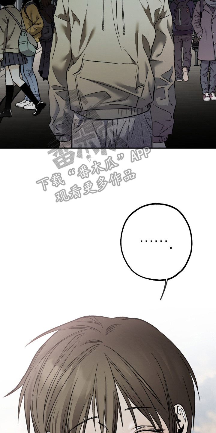 浮光掠影漫画,第17章：依旧美丽（完结）1图