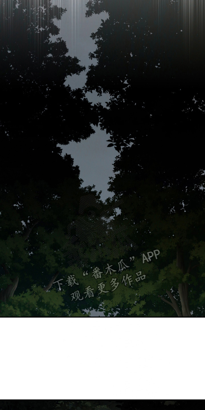 军狼的枷锁漫画,第11章：搜捕5图