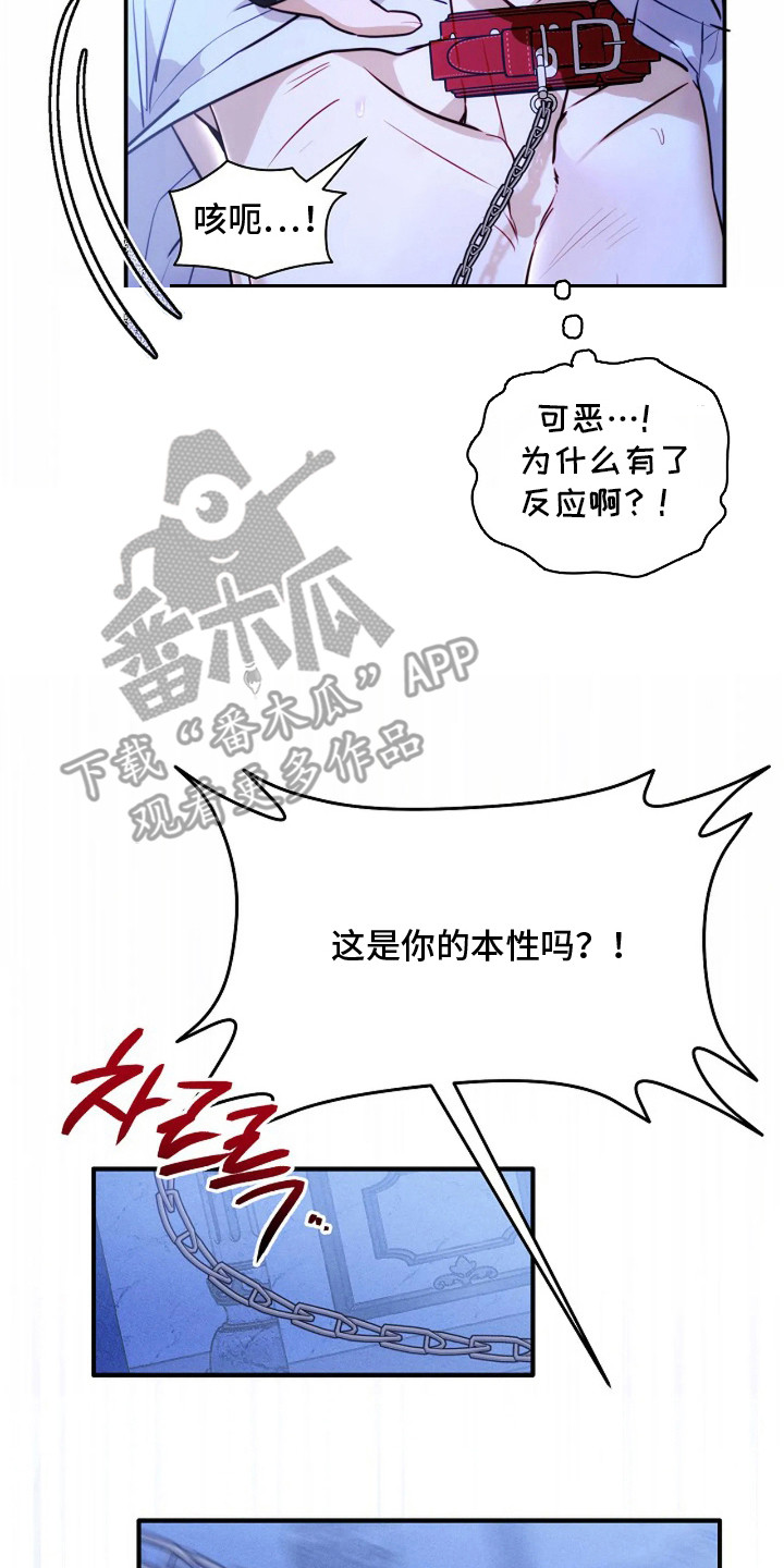 深红圣女漫画,第11章：覆水难收5图