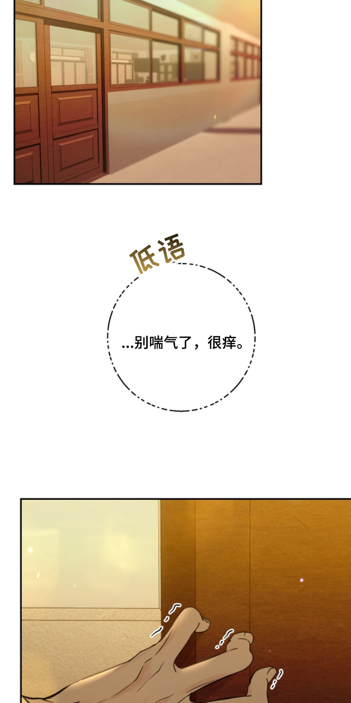 雨后的陌生人漫画,第21章：异变3图