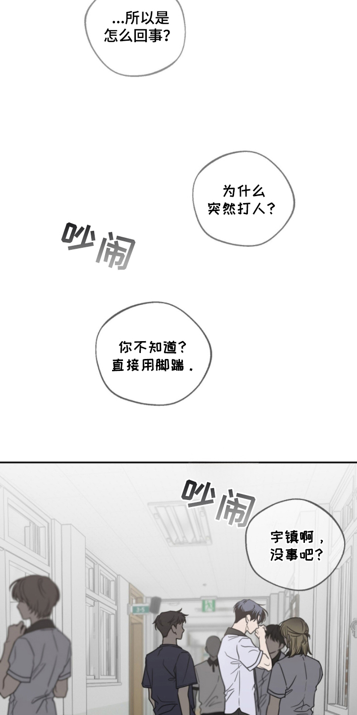 雨后的陌生人漫画,第20章：走一趟4图