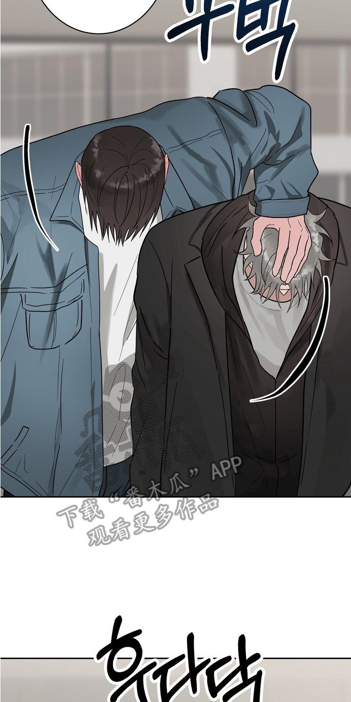 磁爱法则角色介绍漫画,第14章：疯狂举动5图