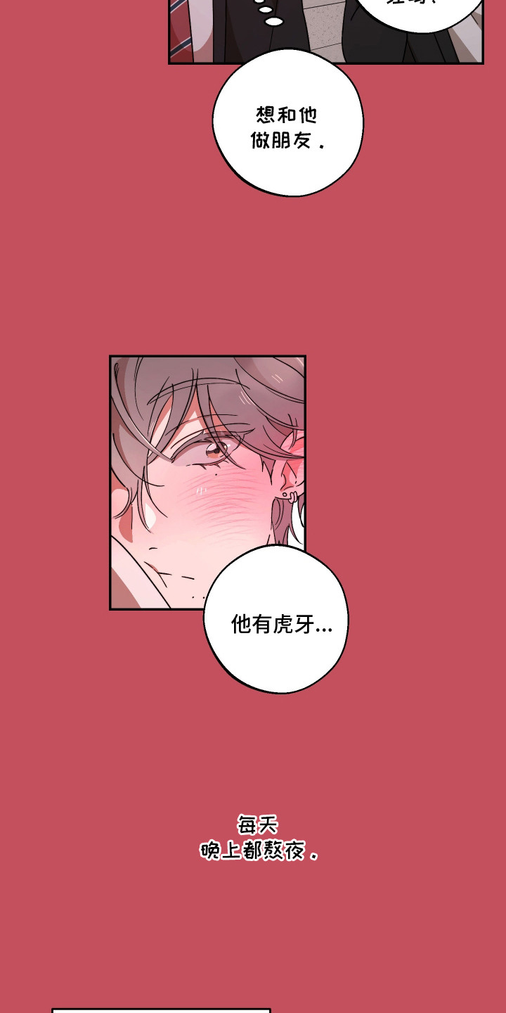 幸运熊先生漫画,第6章：一见钟情4图