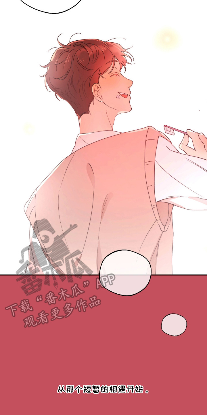 幸运熊先生漫画,第6章：一见钟情2图