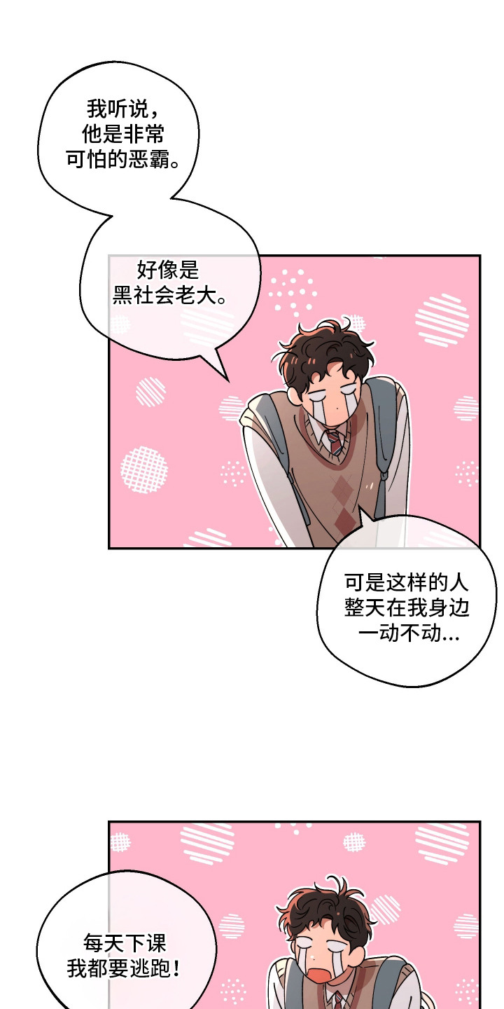 幸运熊先生漫画,第8章：心碎1图