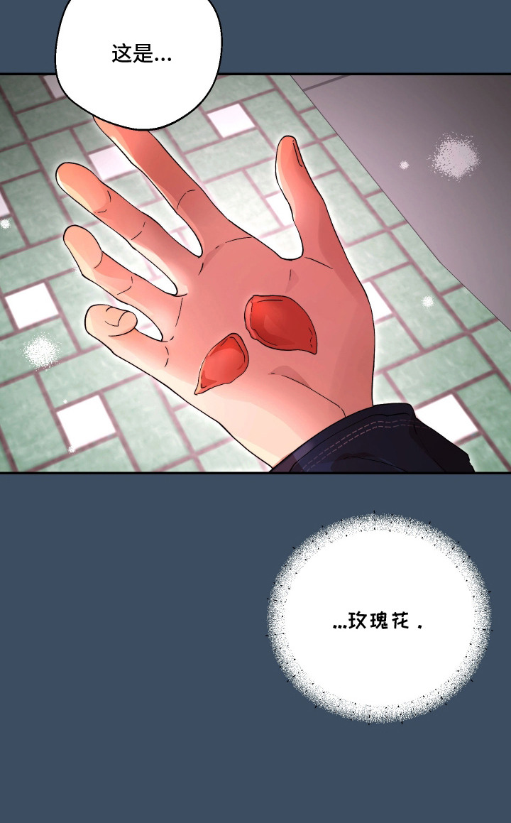 幸运熊先生漫画,第12章：憔悴5图