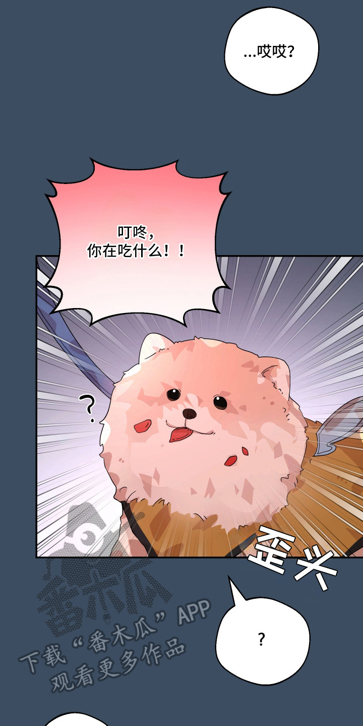幸运熊先生漫画,第12章：憔悴3图