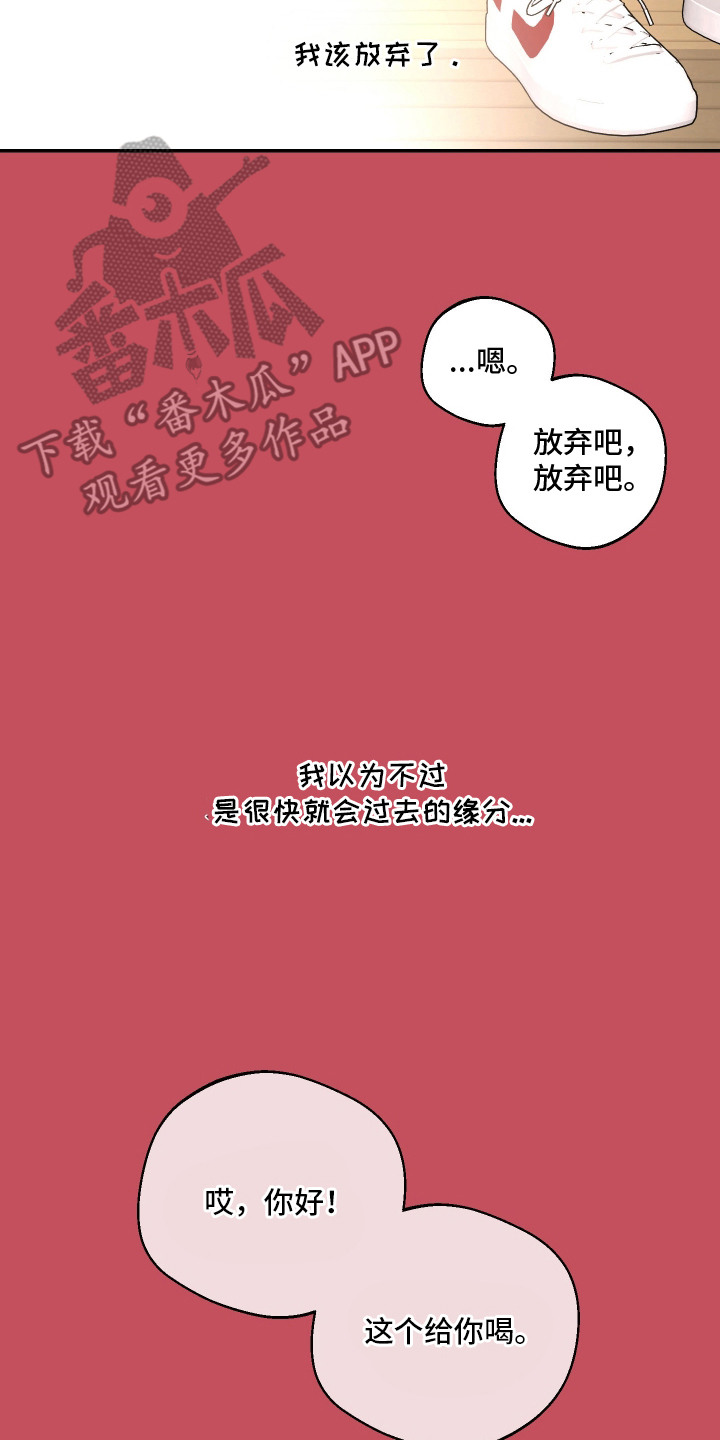 幸运熊先生漫画,第6章：一见钟情3图